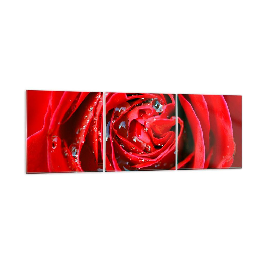 Bilder auf glas - Rose Blume Blütenblätter Tau - 90x30cm - Glasbilder - Wandbilder - Kunstdruck - zum Aufhängen bereit - Wanddekoration aus Glas...