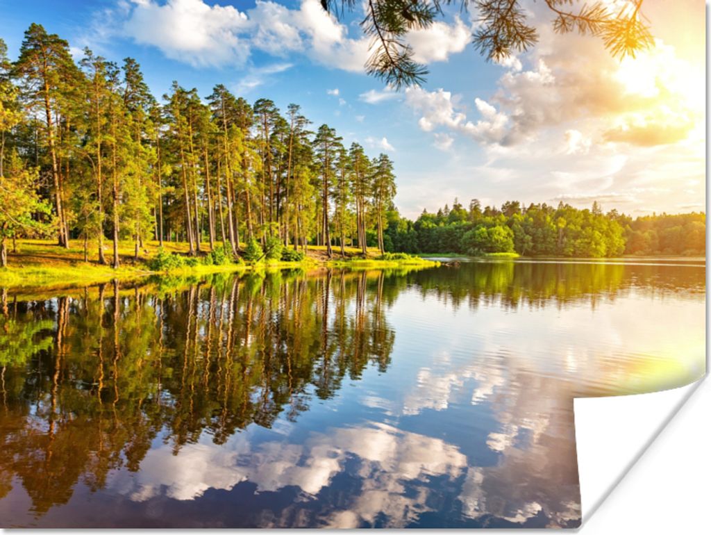 MuchoWow Poster Wasser - Bäume - Natur 40x30 cm - Plakate für die Wände - Poster Wohnzimmer