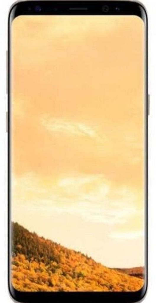 SAMSUNG Galaxy S8+ 64 go Or - Reconditionné - Etat correct Image du produit 