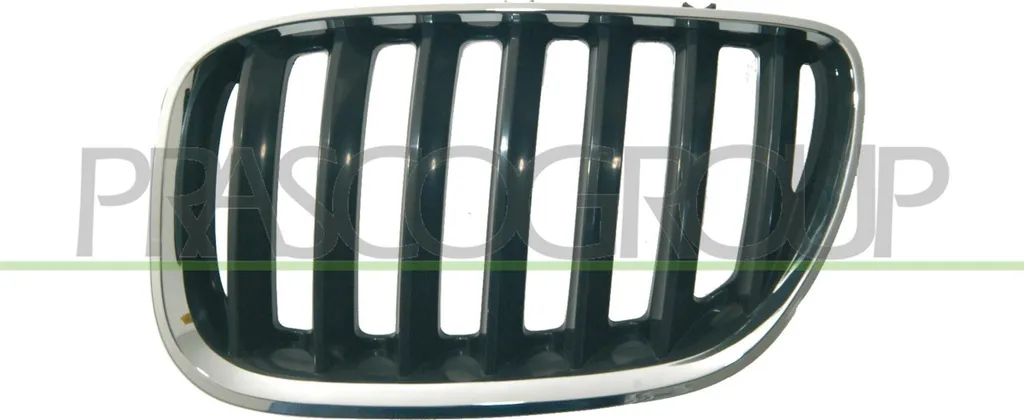 Grille de calandre gauche PRASCO BM8202024 pour BMW X5 E53 OE 51137113733