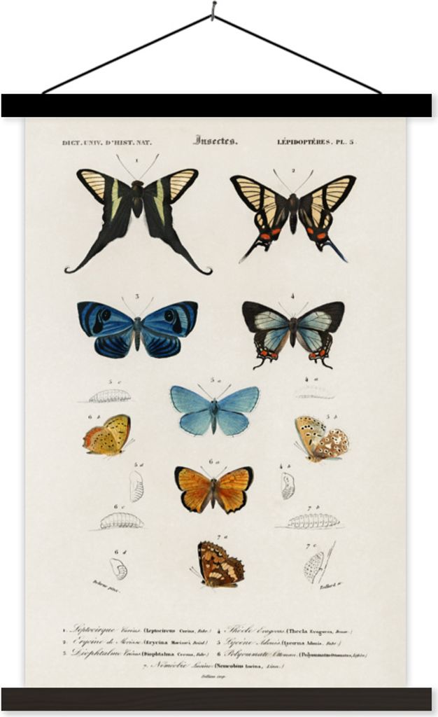 MuchoWow Textilposter Schmetterling - Vintage - Insekten 60x90 cm mit schwarzem Rahmen - Poster Wohnzimmer