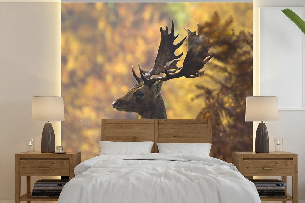 MuchoWow Fototapete für Wohnzimmer oder Schlafzimmer Wandtapete Vinyl Motivtapete Hirsche - Geweihe - Herbst - 350x350 cm - Schlafzimmertapete