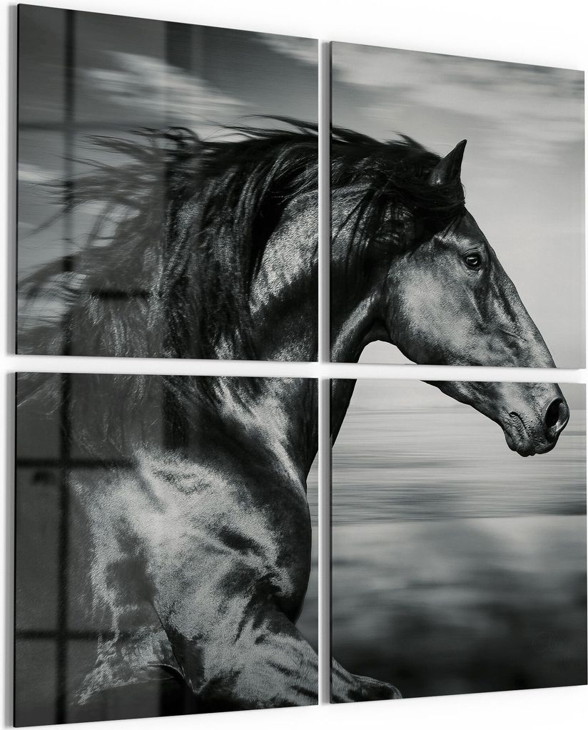 DEQORI Glasbilder Acryl 4x50x50 cm 'Galoppierendes Pferd' Wandbilder XXL groß