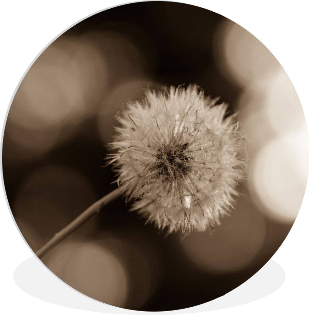 MuchoWow Rundes Wandbild - Runde Bilder Sepia-Fotodruck Löwenzahn Ø 60 cm Kreis Wanddekoration Kunststoff - Wandkreis - Wandschmuck - Wand Krei...