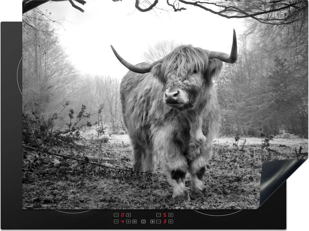 KitchenYeah Herdabdeckplatte Schottischer Highlander - Wald - Nebel - Kuh - Tiere - Natur , 71x52cm, Küche Deko, Glaskeramikkochfeld Herdabdecku...
