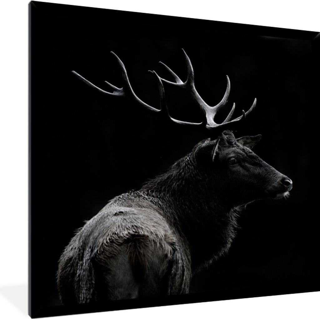 MuchoWow Gerahmtes Poster Hirsch - Schwarz - Porträt - Geweih - Tiere 40x40 cm - Poster mit Schwarzem Bilderrahmen Wandposter Rahmen Foto Bilder...