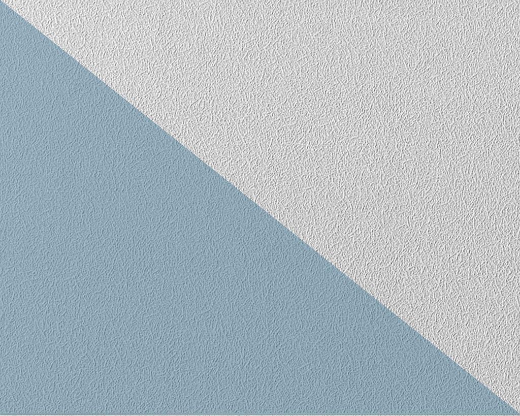 EDEM 80377BR60 XXL Decken Wand Vliestapete überstreichbare Produktbild 