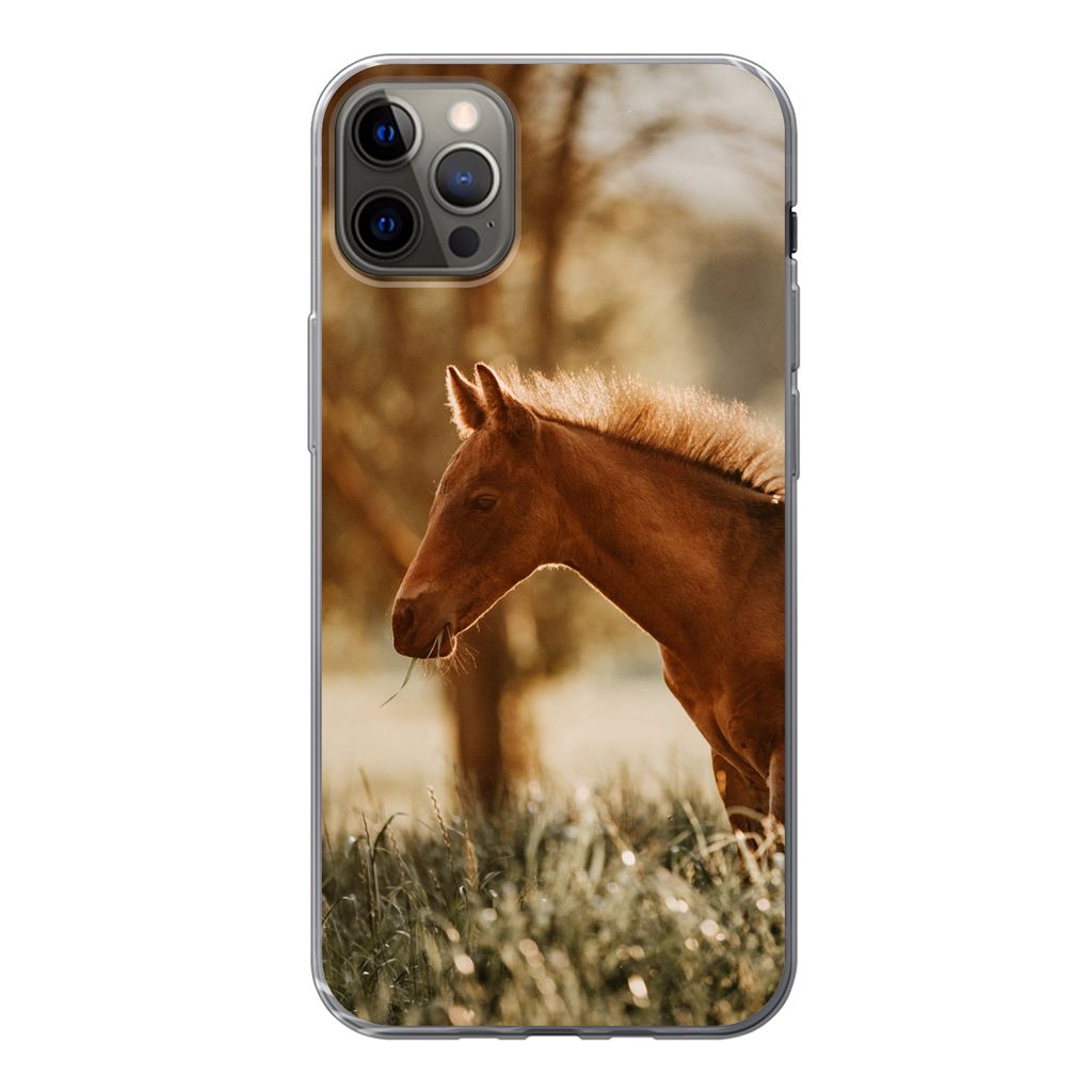 MuchoWow Handyhülle Schutzhülle Hülle für iPhone 13 Pro Max Pferd - Licht - Wiese Silikon Softcase Handy Hülle - Mobiltelefon