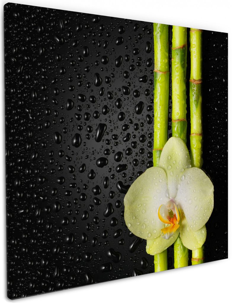 Wallario Premium Leinwandbild Grüne Orchidee mit Bambus auf schwarz - Regentropfen in Größe 50 x 50 cm