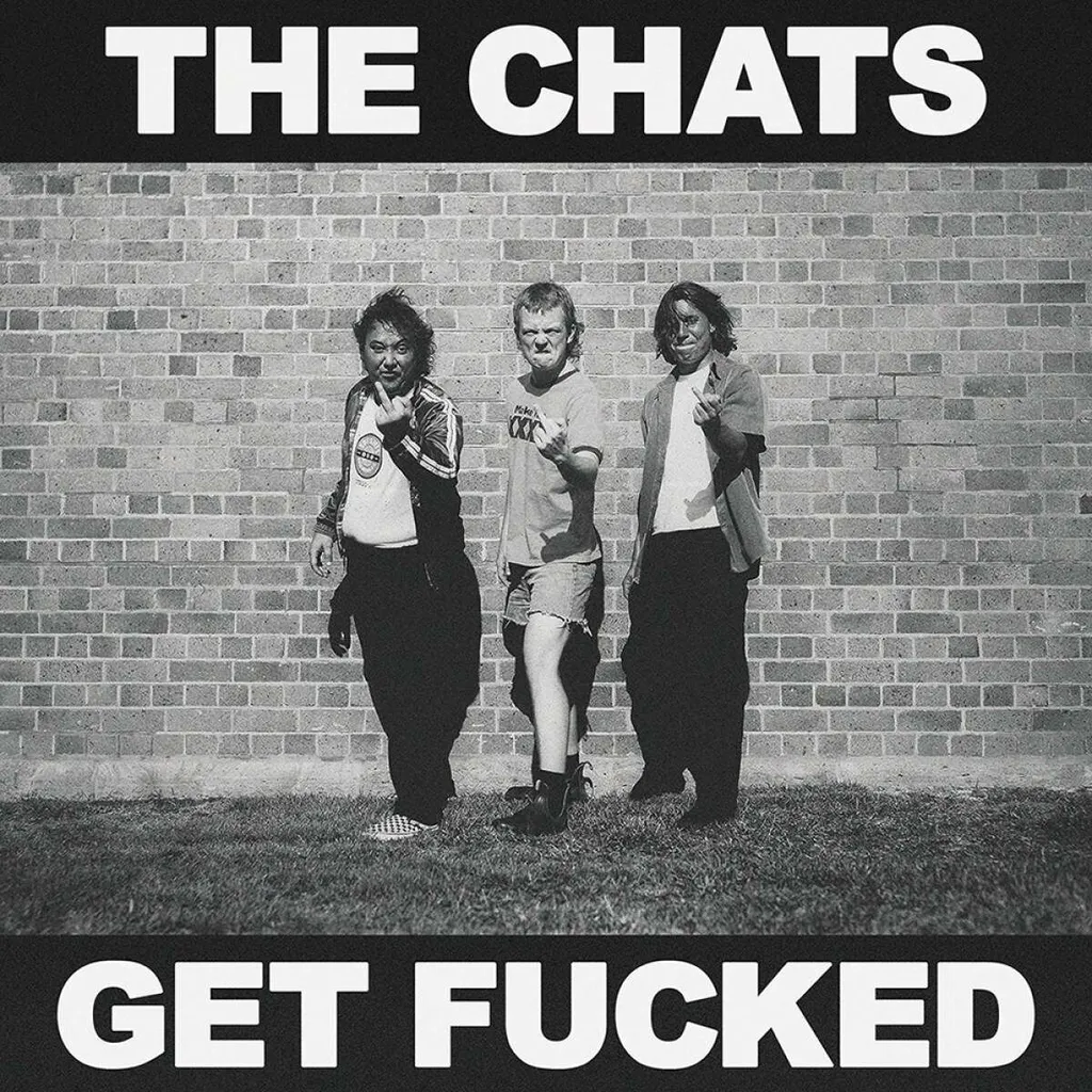 Vinyle Musique Rock The Chats : Se faire baiser pour Soirées Entre Amis