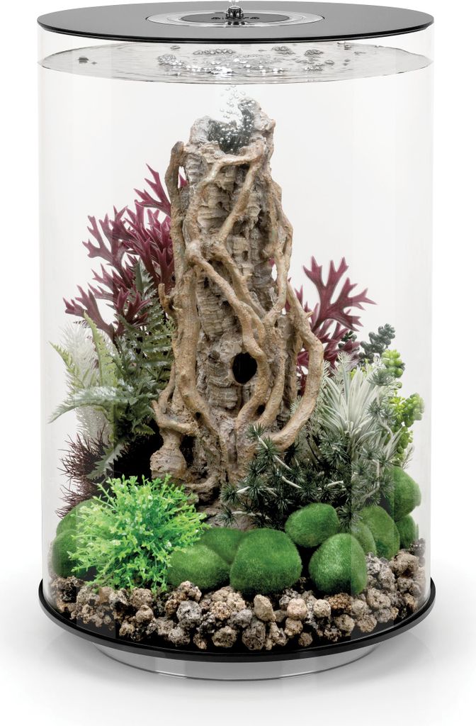 biOrb Moorgehölz Ornament L (72775)