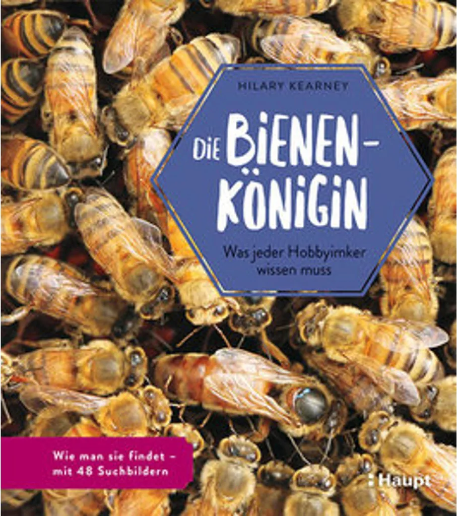 Die Bienenkönigin Livre de Conte Classique des Frères Grimm Relié