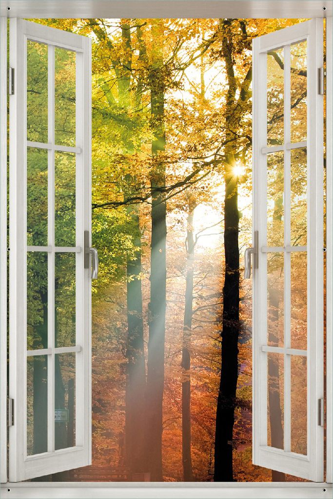 Wallario Outdoor-Poster für Garten oder Balkon 61 x 91,50 cm: Sonnenuntergang im Herbstwald