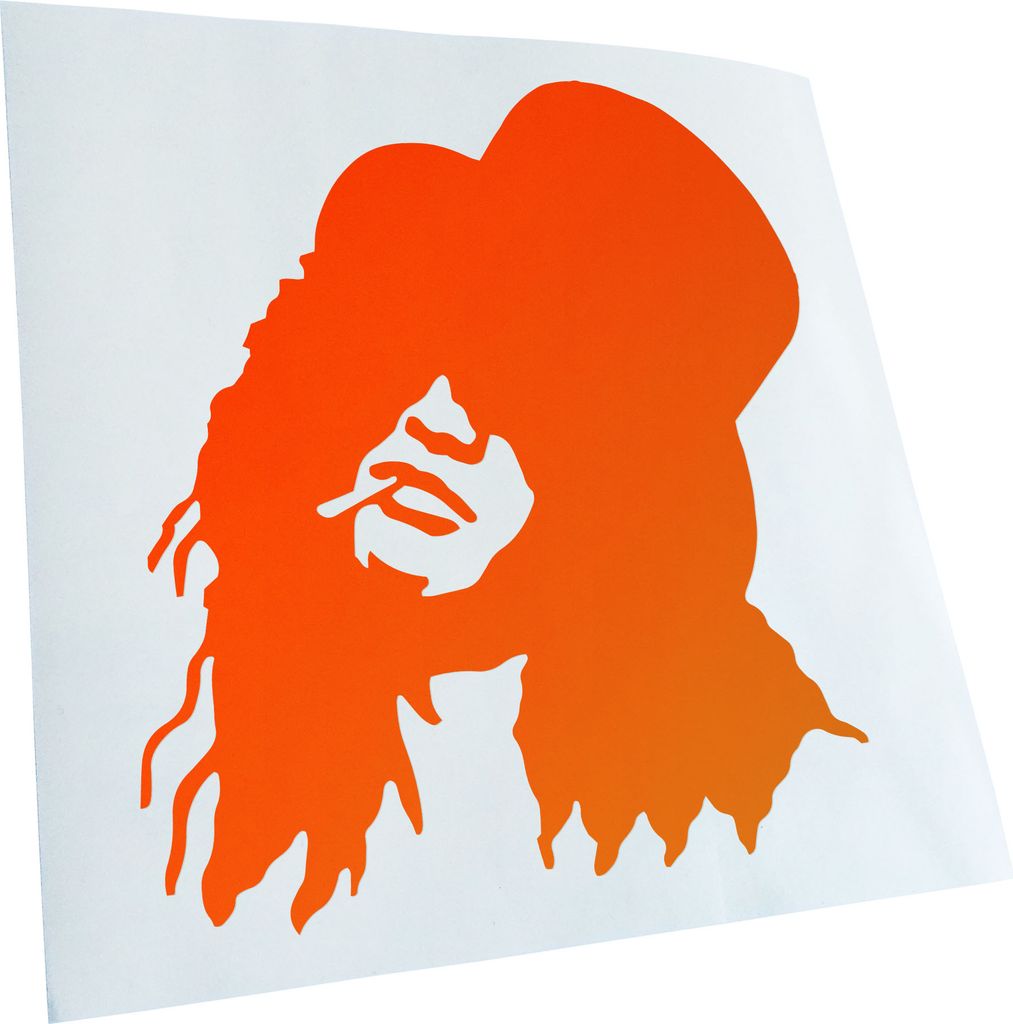 Kiwistar - Autoaufkleber - Rockmusiker Rockband Heckscheibe - Aufkleber für Auto Kfz Fahrrad, LKW, Truck Mofa