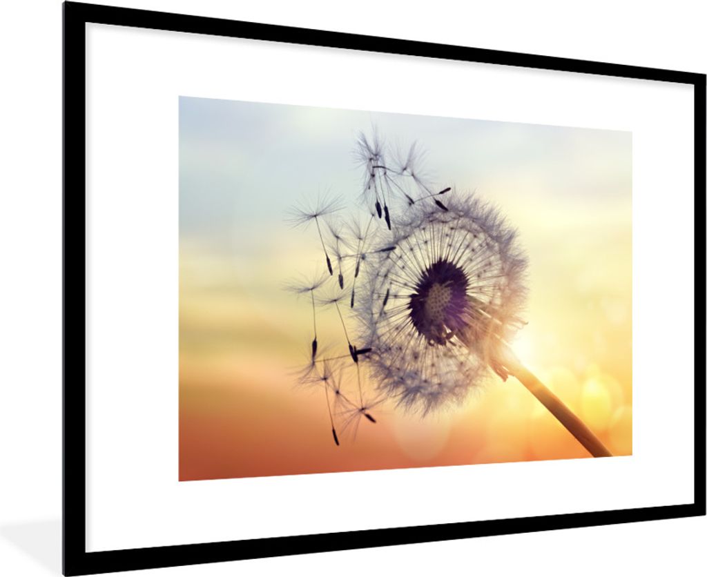 MuchoWow Gerahmtes Poster Löwenzahn 90x60 cm - Poster mit Schwarzem Bilderrahmen Wandposter Rahmen Foto Bilder - Wanddekoration - Fotos