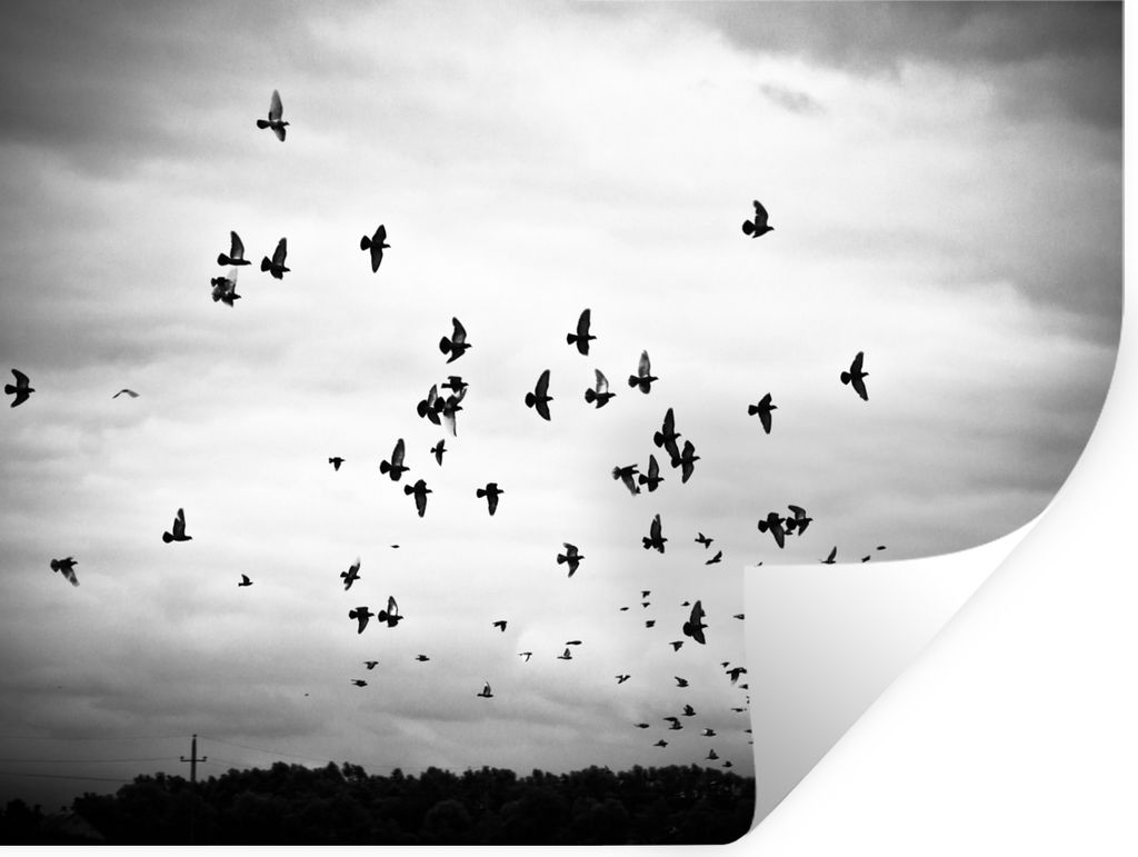 MuchoWow Wandtattoo Wandsticker Wandaufkleber Tiere - Vögel - Wolken - Schwarz - Weiß 120x90 cm Selbstklebend und Repositionierbar - Aufkleber