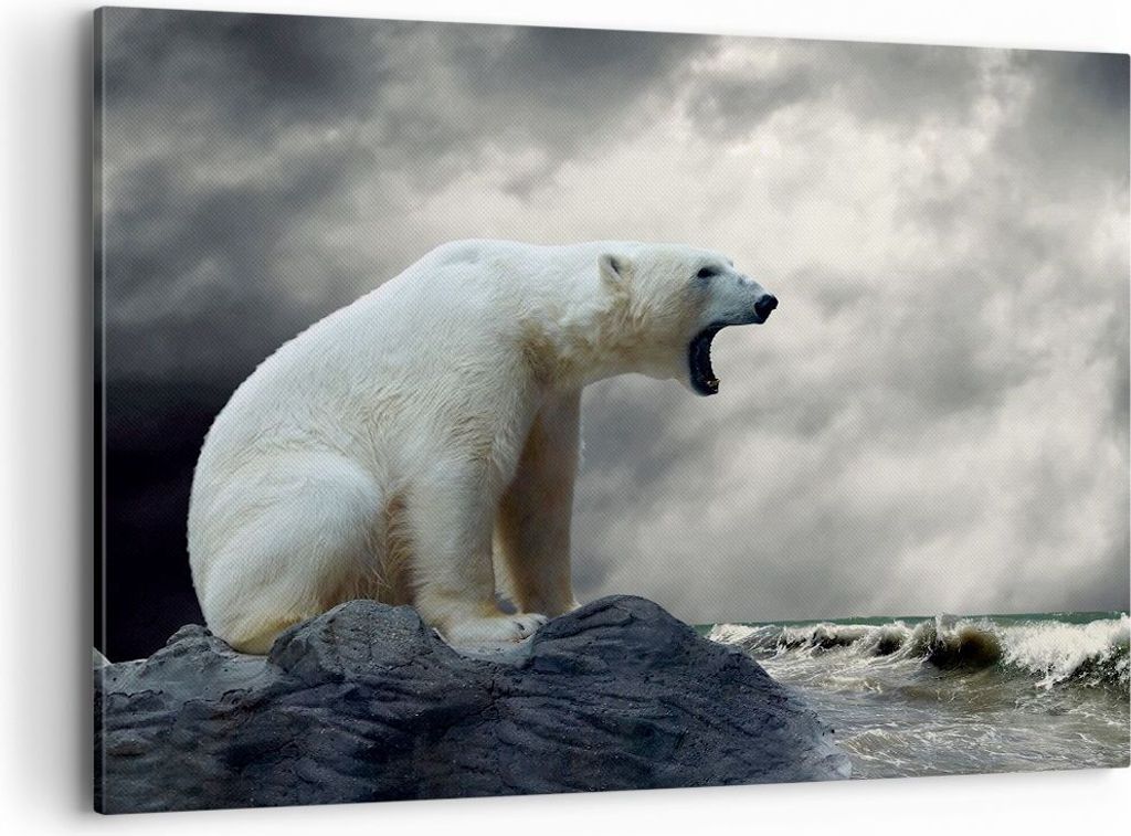 Bild auf Leinwand - Leinwandbild - Bär Tiere Wasser Eis - 100x70cm - Wand Bild - Wanddeko - Leinwanddruck - Bilder - Kunstdruck - Wanddekoration -...
