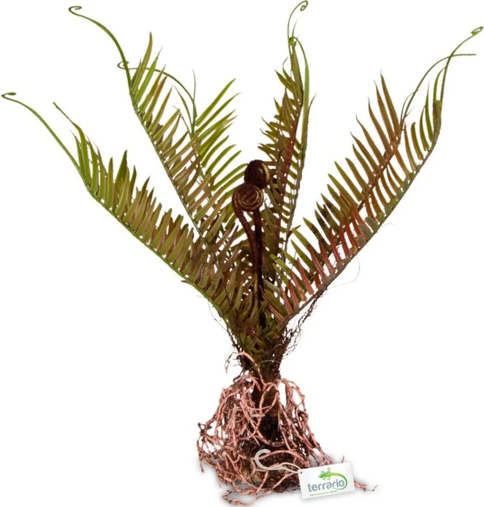 Fougère Artificielle Terrario 40x14x41cm Résistante à l'Humidité Verte