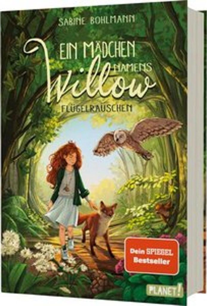 Ein Mädchen namens Willow 3: Flügelrauschen Produktbild 