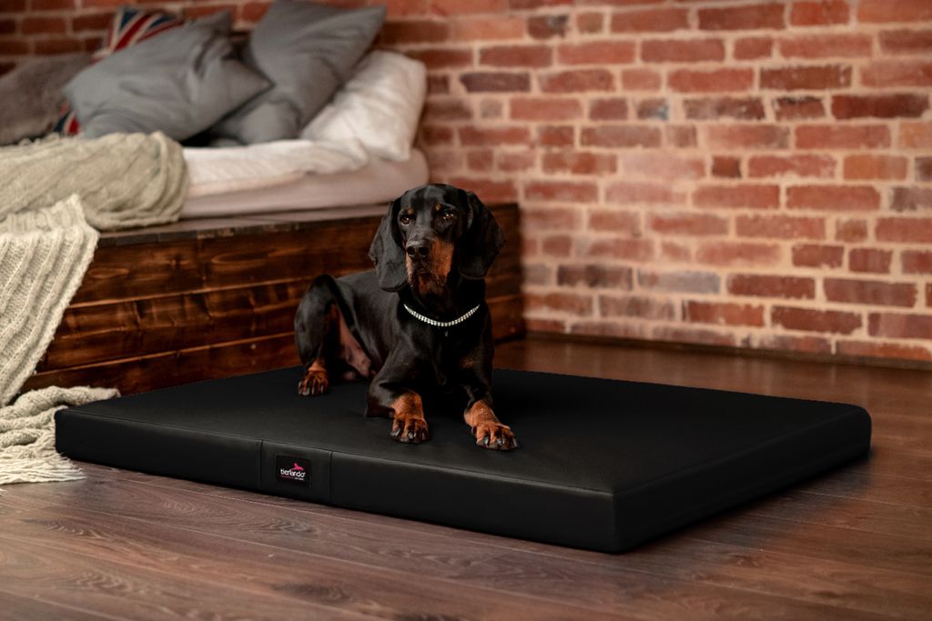 Back On Track Hundematratze – 50 X 60 Cm, Schwarz, Memory Foam, Waschbarer Bezug