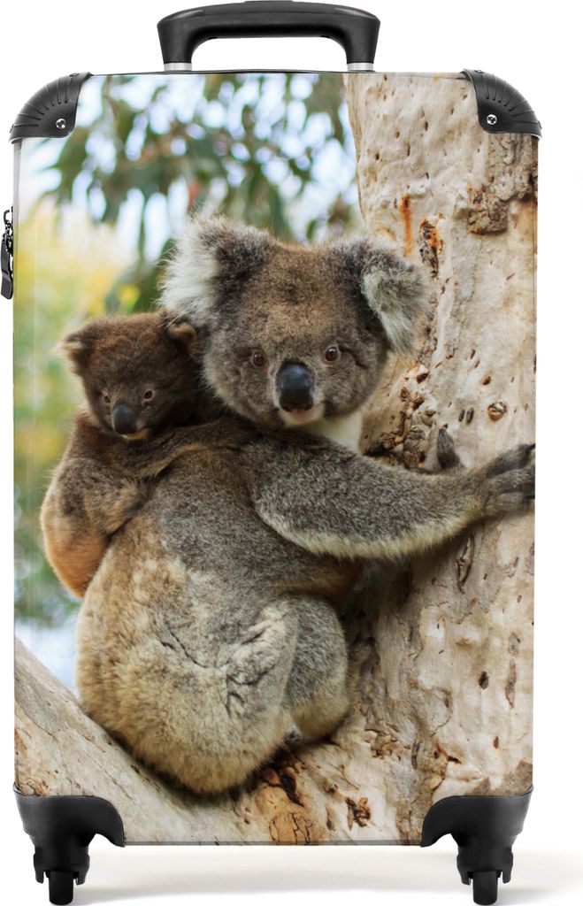 NoBoringSuitcases.com Koffer Handgepäck Trolley Rollkoffer Kleine Reisekoffer mit 4 Rollen - Koala - Wildtiere - Baum - Natur - Kinder - Cabin S...