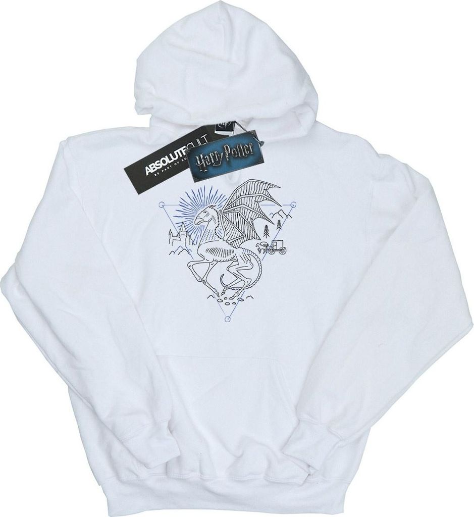 Harry Potter - Kapuzenpullover für Jungen BI7641 (152-158) (Weiß)