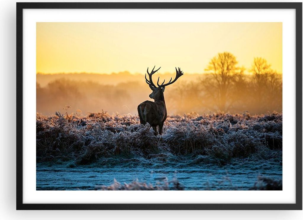 Gerahmtes Poster - Schwarzer Rahmen - Feld Nebel Natur Baum - 70x50 cm - Wand Bild - Wanddeko - Wandbilder - Kunstposter - Wandposter - Bilderrahme...