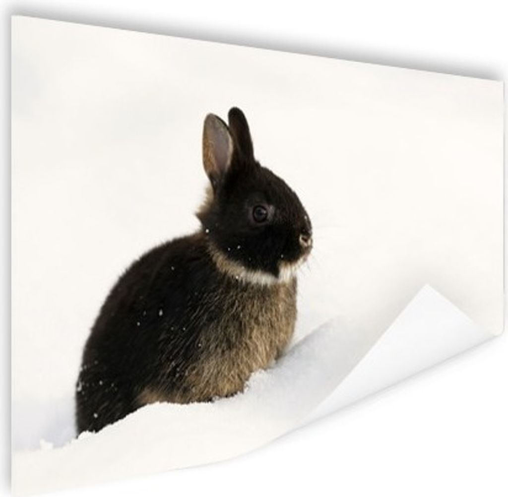 MuchoWow Poster Kaninchen - Schnee - Winter 120x80 cm - Bilder