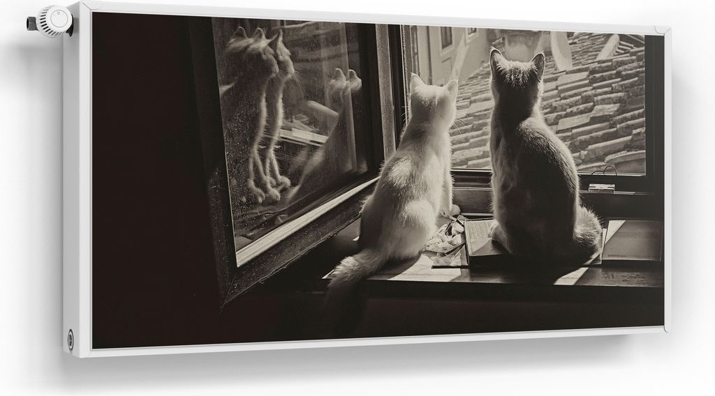 DEQORI Magnetmatte Heizung beschreibbar 120x60 cm 'Katzen auf Fensterbrett' Magnetfolie