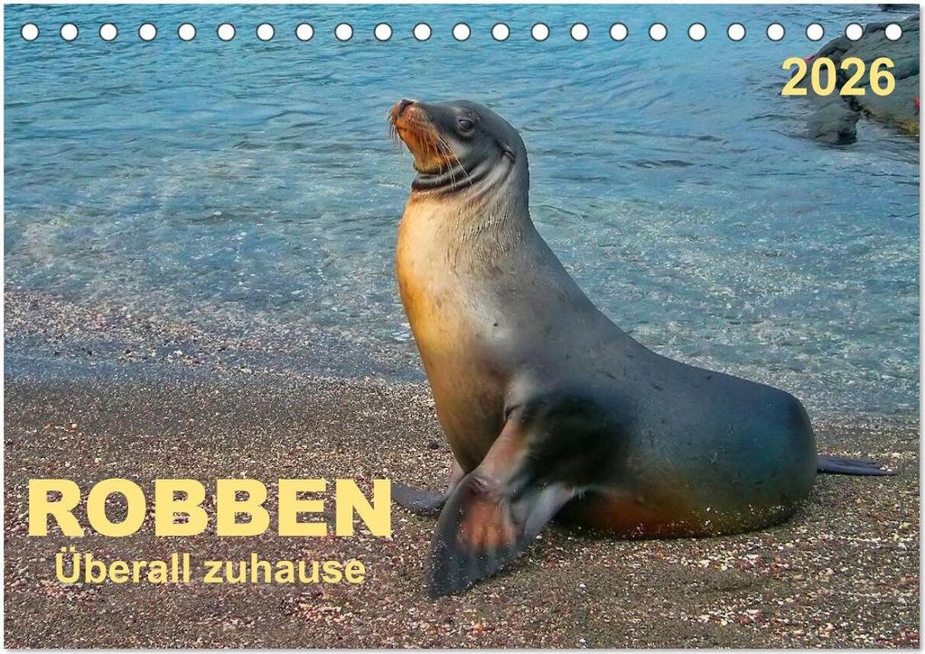 Robben - überall zuhause (Tischkalender 2026 DIN A5 quer), CALVENDO Monatskalender