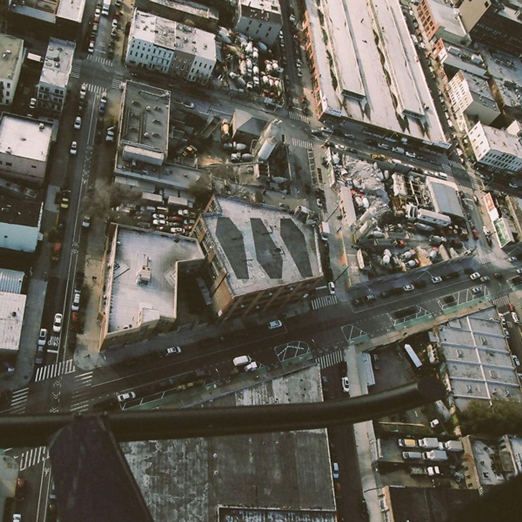 Show Me The Body: Dog Whistle