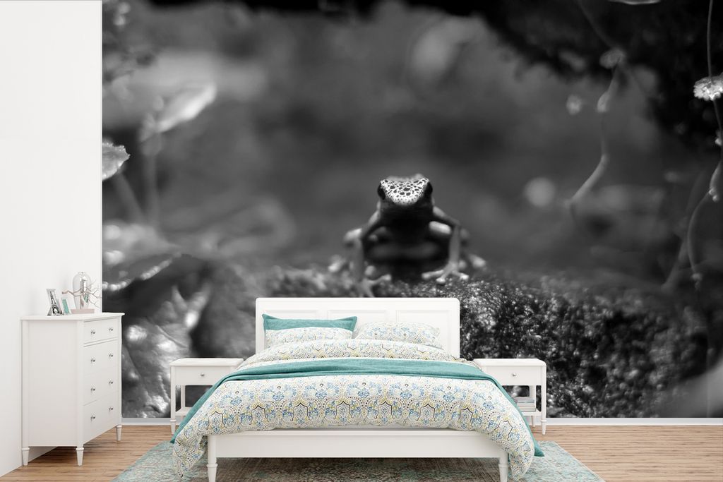 MuchoWow Fototapete für Wohnzimmer oder Schlafzimmer Wandtapete Vinyl Motivtapete Frosch im Dschungel - schwarz und weiß - 420x280 cm - Zimmer ...