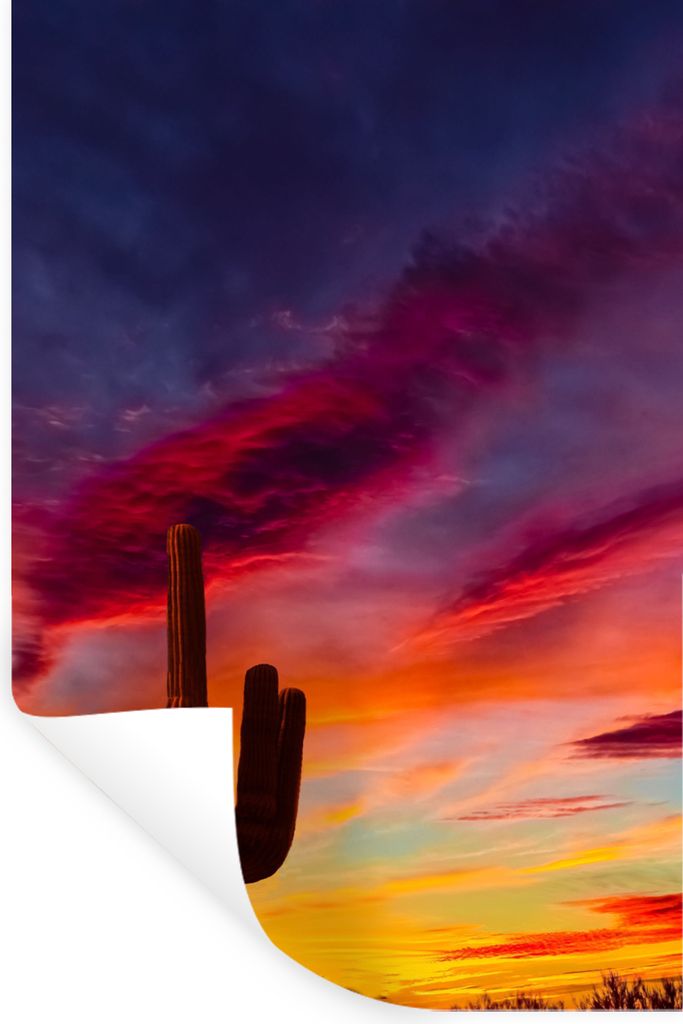 MuchoWow Wandtattoo Wandsticker Wandaufkleber Kaktus - Himmel - Sonnenuntergang - Lila - Rosa 40x60 cm Selbstklebend und Repositionierbar - Wierd...