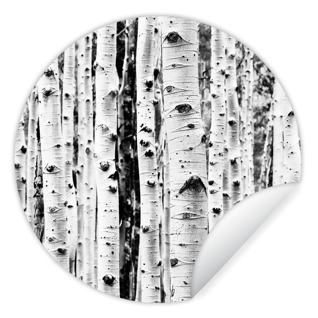 MuchoWow Runde Wandtattoo - Wandsticker Tapete Aufkleber Bäume - Holz - Schwarz und weiß - Natur Ø 30 cm Selbstklebend und Repositionierbar - ...