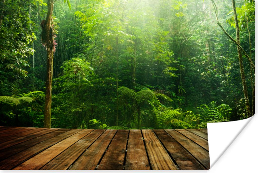 MuchoWow Poster Boden - Holz - Dschungel - Jungen - Mädchen - Kinder - Kind 120x80 cm - Bilder