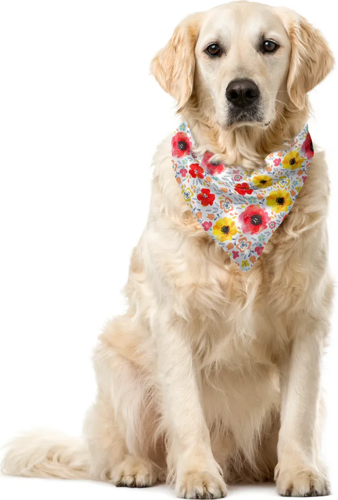 Recensione Bandana ABAKUHAUS 40x40 cm Papaveri - Accessorio Pet Premium