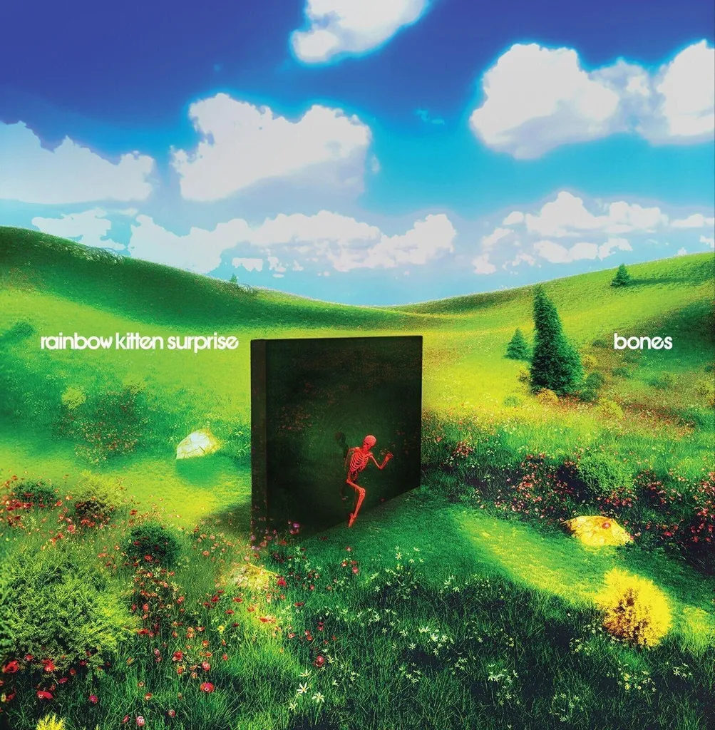 Vinyle Rainbow Kitten Surprise Bones 140g LP - Édition Limitée Rock