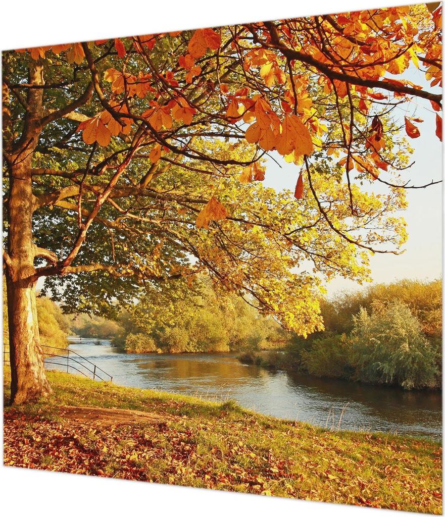 Wandtapete - Dekorative Tapete für Wohnzimmer - Tapetenfolie für Wanddekoration - 250x250 cm - Küstenherbst