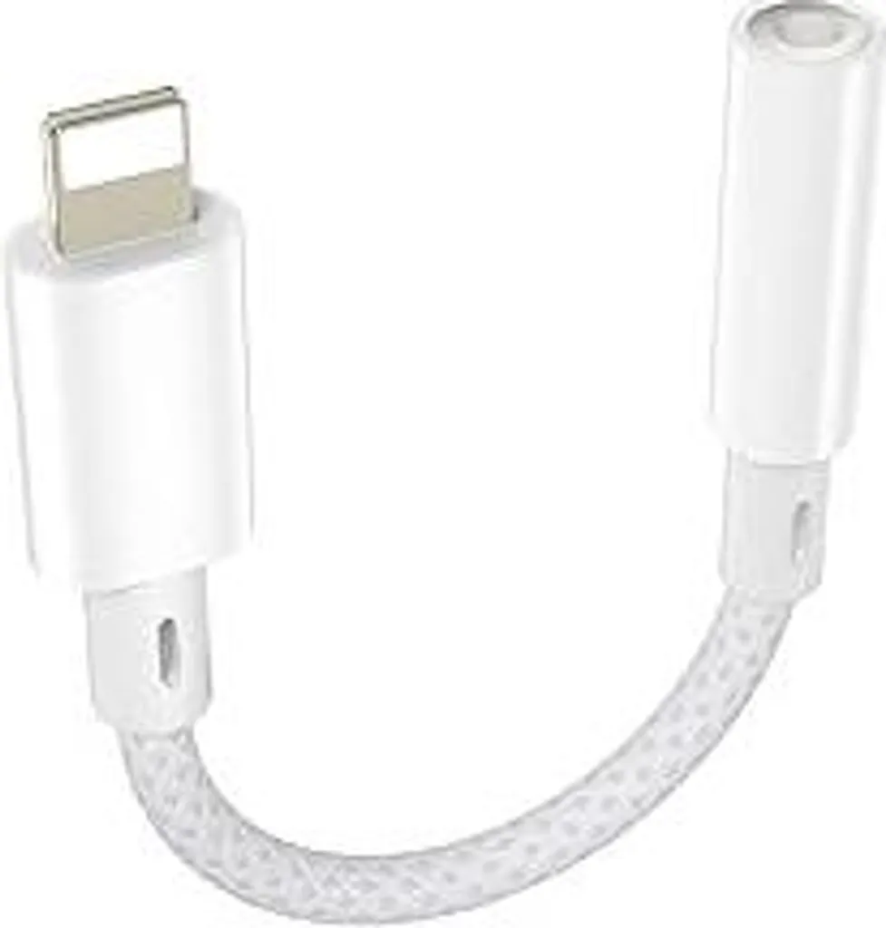 2 Pacchetti di Adattatori da Lightning a USB C per iPhone 15/16 Pro/Plus/Pro Max, Samsung S24, Supporto per La Ricarica e Il Trasferimento dei Dati, Non per Audio/OTG/Telefono
