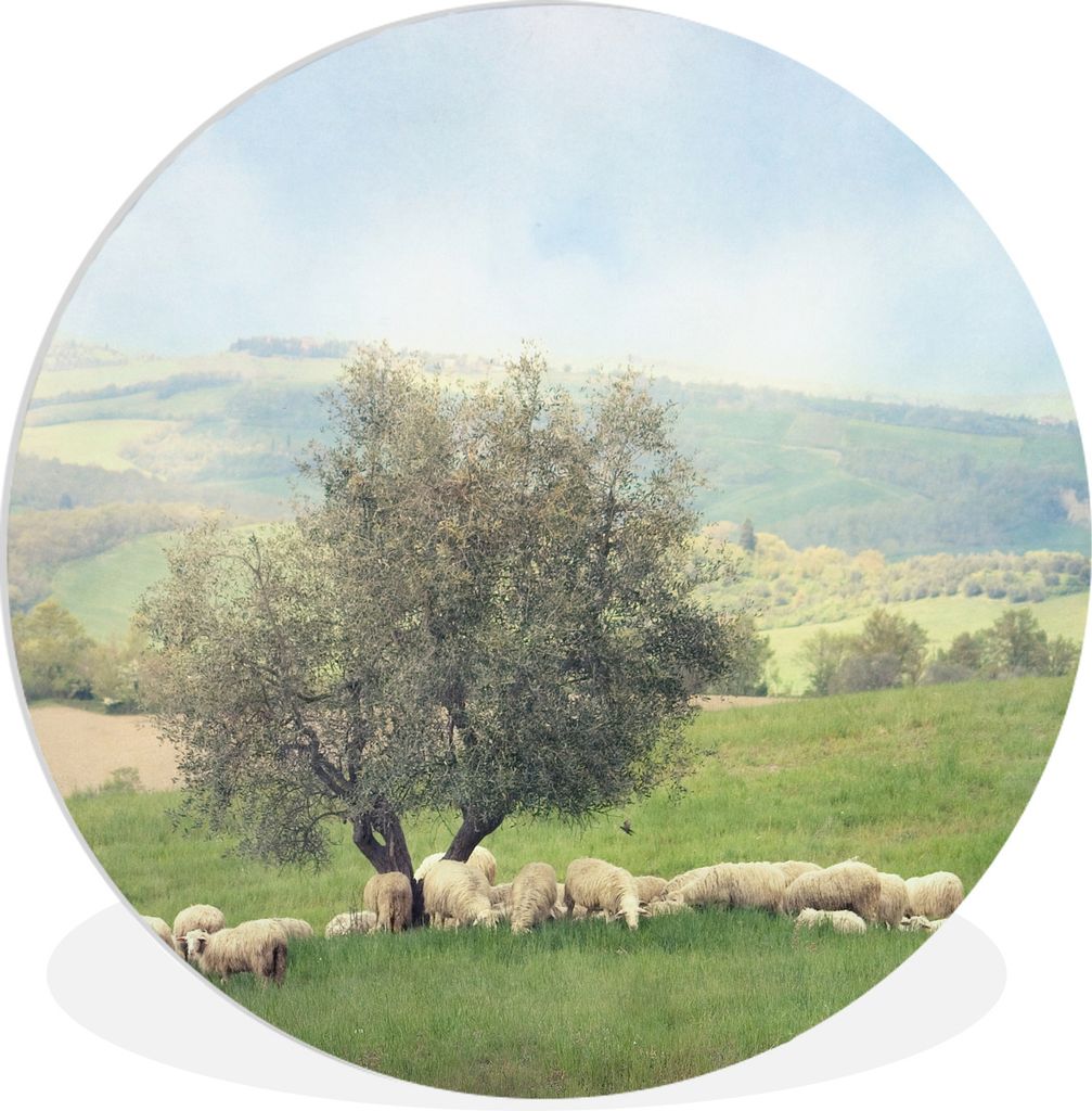 MuchoWow Rundes Wandbild - Runde Bilder Eine Gruppe von Schafen in der Nähe eines Olivenbaums Ø 60 cm Kreis Wanddekoration Kunststoff - Wandkre...