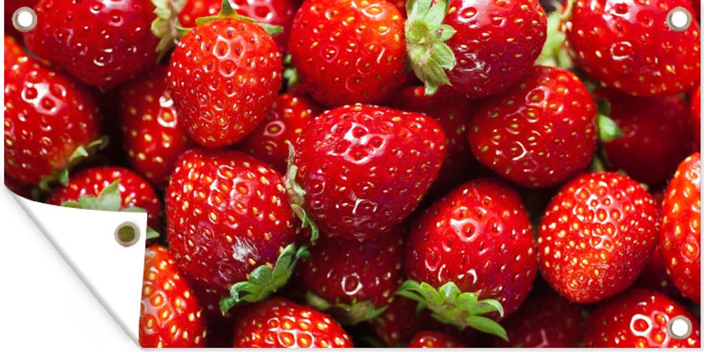 MuchoWow 160x80 cm Outdoor-Poster Gartendeko Sichtschutz Garten Poster für den Garten Erdbeere - Obst - Saatgut