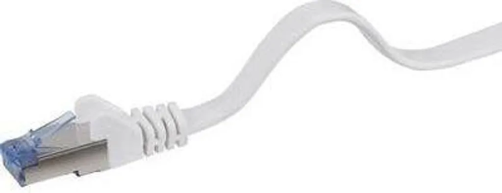 Câble Réseau Cat6a 1m avec Blindage U/FTP Renkforce Gris Anti-Interférence