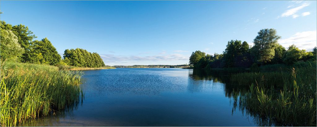 Wallario Poster - Malerischer See mit Schilf unter blauem Himmel, Kunstdruck Größe: 80 x 200 cm