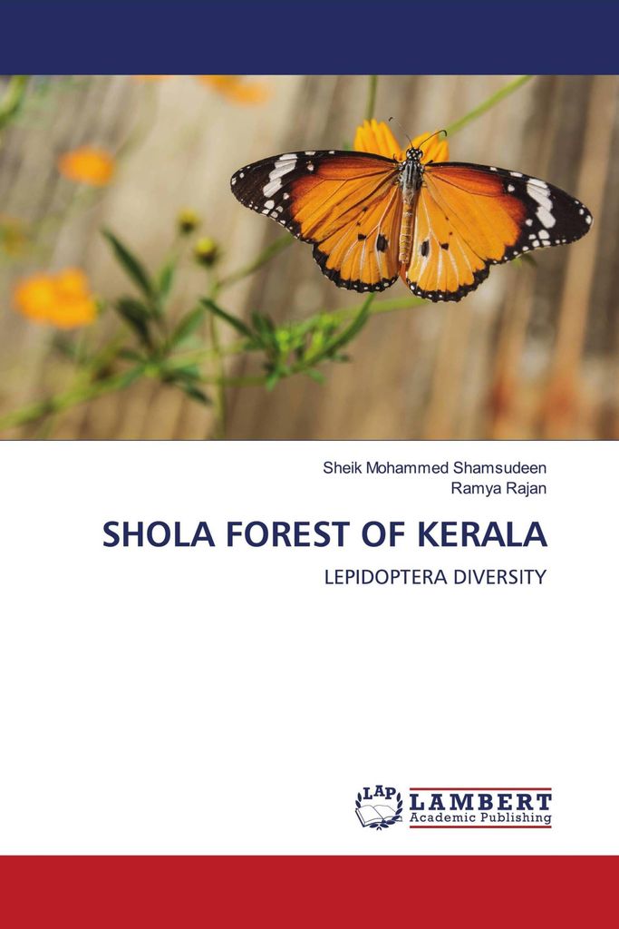 Shola Forest Of Kerala
