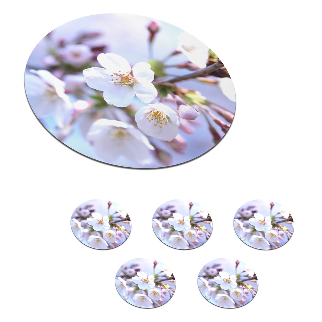 KitchenYeah Glasuntersetzer Rund 6er Set Blumen - Sakura - Zweig 10x10 cm Untersetzer für Gläser - Getränkeuntersetzer - Tischplattenschutz - ...