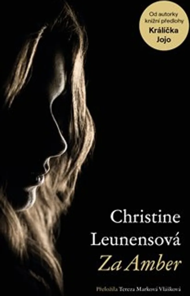 Livre Dans le sillage d'Ambre par Christine Leunens - Roman Fiction