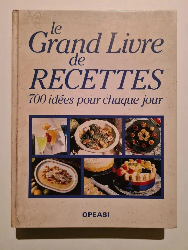 Le Grand Livre de Recettes 1 : 700 idées cuisine pour chaque jour