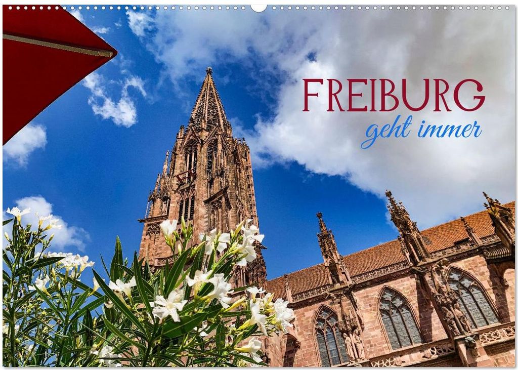 Freiburg - geht immer (Wandkalender 2027 DIN A2 quer), CALVENDO Monatskalender