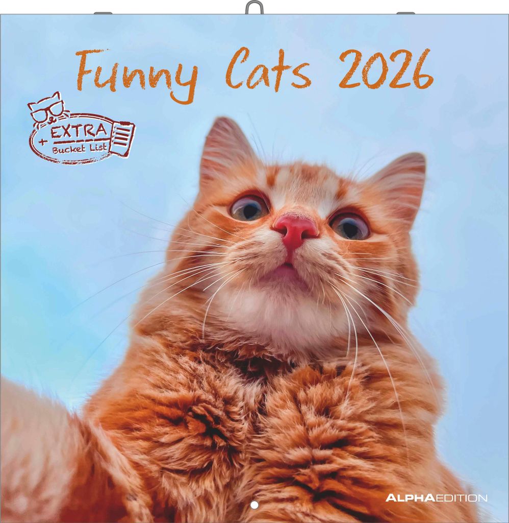 Alpha Edition - Funny Cats Kalender 2026 - Wandkalender 30x30 cm - Lustiger Katzenkalender für Katzenliebhaber - 12 witzige Katzenfotografien, vie...