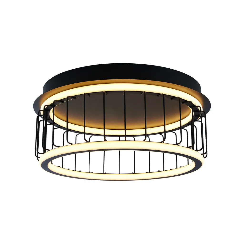 Plafonnier LED Cage 1Lt 40cm Luminaire de Plafond Industriel Noir Mat